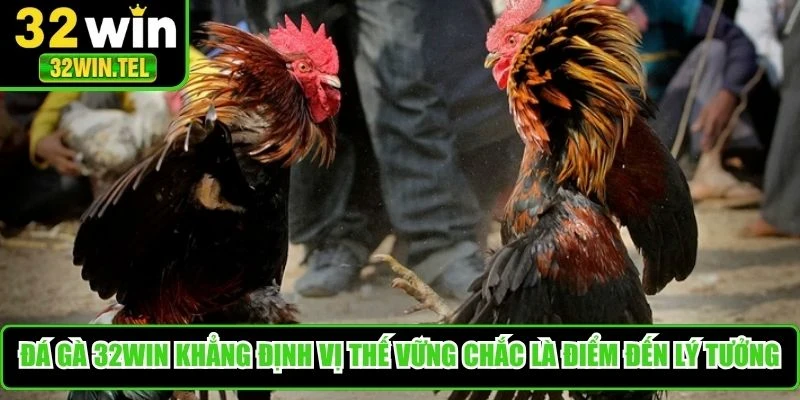 Đá gà 32WIN khẳng định vị thế vững chắc là điểm đến lý tưởng cho gamer