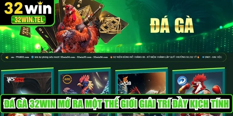 Đá gà 32WIN mở ra một thế giới giải trí đầy kịch tính